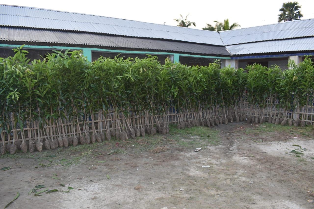 Project Photo
